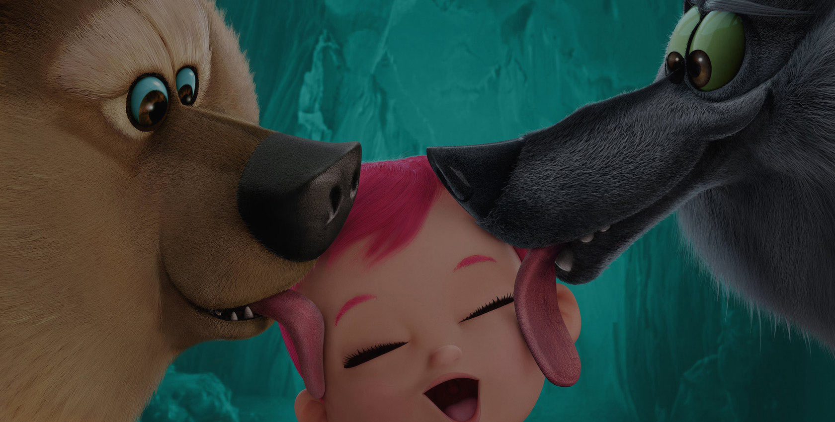 安卓ddos攻击工具